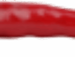 chili-100x26-1
