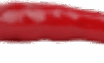 chili-100x26-1