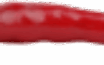 chili-100x26-1