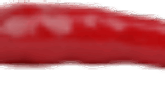 chili-100x26-1